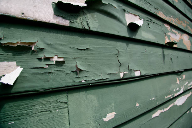 Best Demolition Debris Removal  in Fair Plain, MI